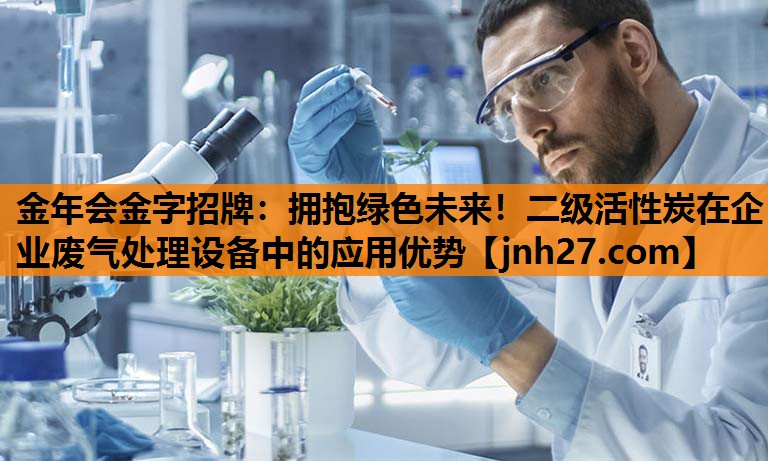 金年会金字招牌：拥抱绿色未来！二级活性炭在企业废气处理设备中的应用优势