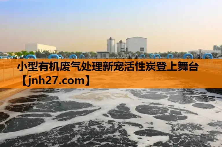 小型有机废气处理新宠活性炭登上舞台