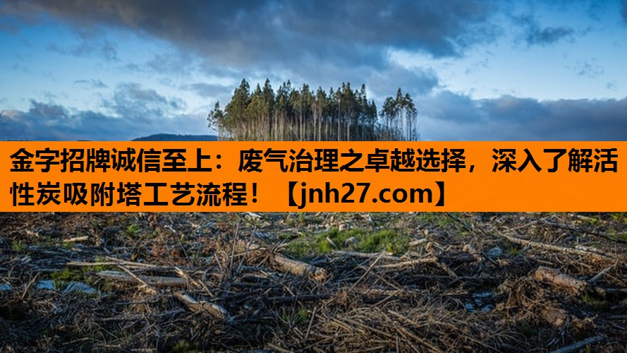 金字招牌诚信至上：废气治理之卓越选择，深入了解活性炭吸附塔工艺流程！