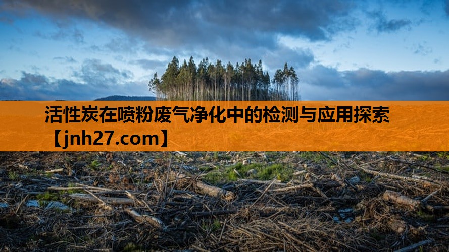 活性炭在喷粉废气净化中的检测与应用探索