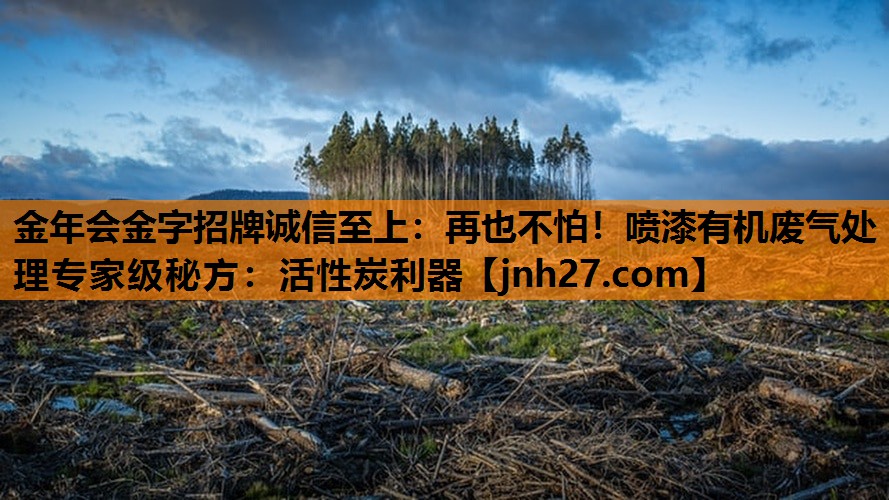金年会金字招牌诚信至上：再也不怕！喷漆有机废气处理专家级秘方：活性炭利器