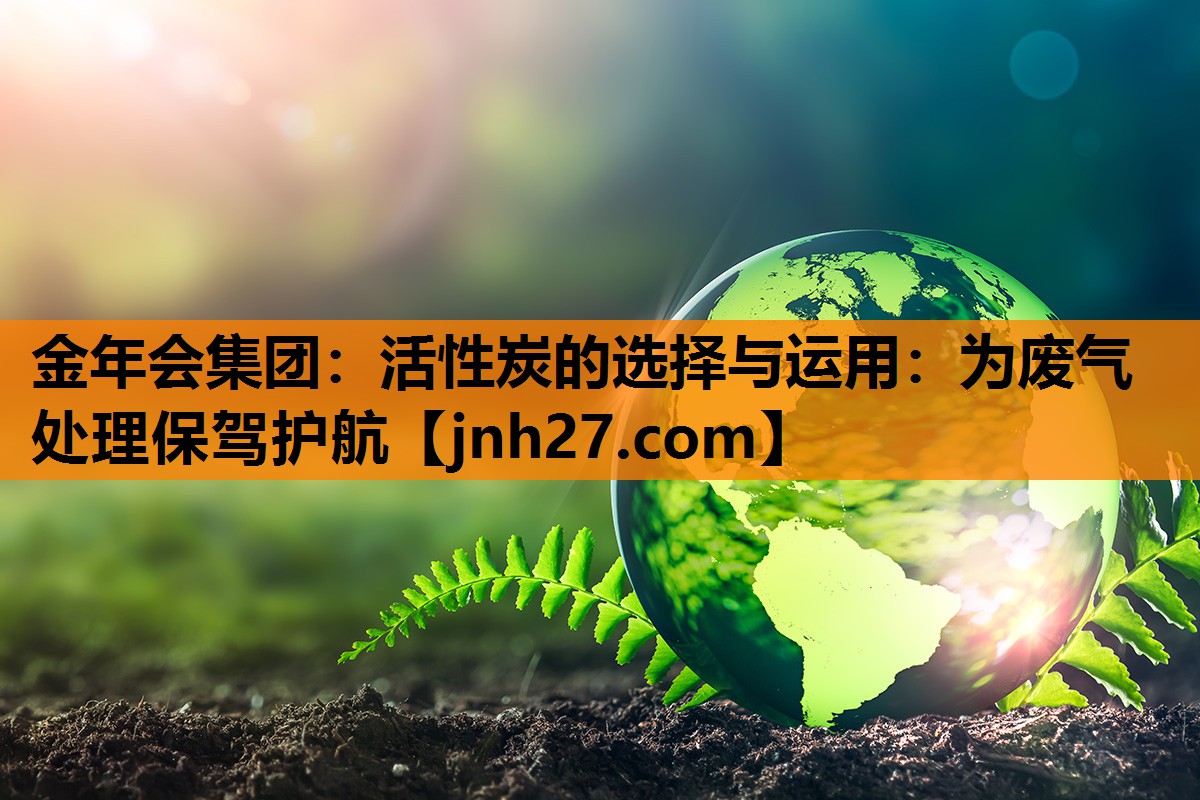 金年会集团：活性炭的选择与运用：为废气处理保驾护航