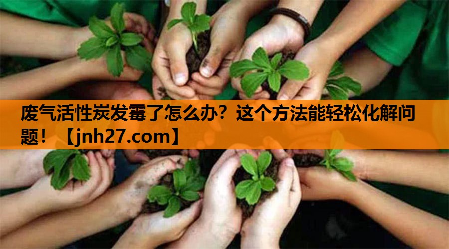 废气活性炭发霉了怎么办？这个方法能轻松化解问题！