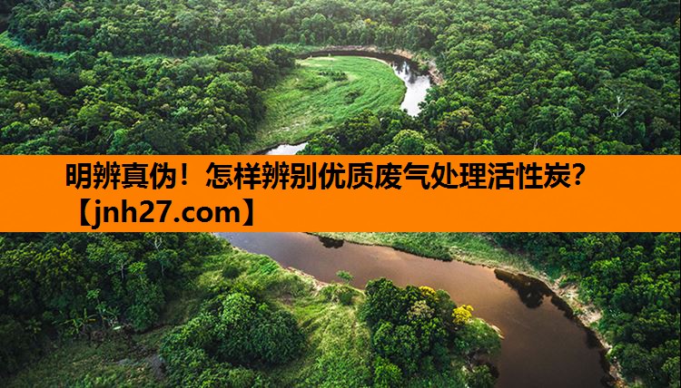 明辨真伪！怎样辨别优质废气处理活性炭？