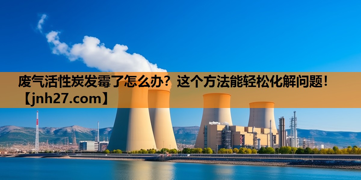 <strong>废气活性炭发霉了怎么办？这个方法能轻松化解问题！</strong>