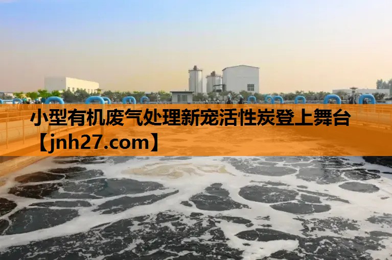 小型有机废气处理新宠活性炭登上舞台