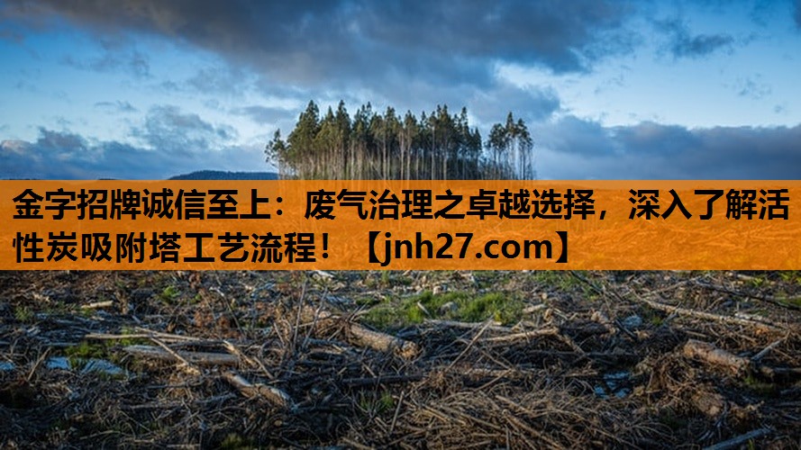废气治理之卓越选择，深入了解活性炭吸附塔工艺流程！
