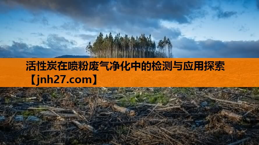 活性炭在喷粉废气净化中的检测与应用探索