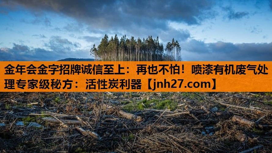再也不怕！喷漆有机废气处理专家级秘方：活性炭利器
