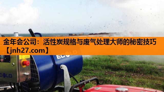 活性炭规格与废气处理大师的秘密技巧