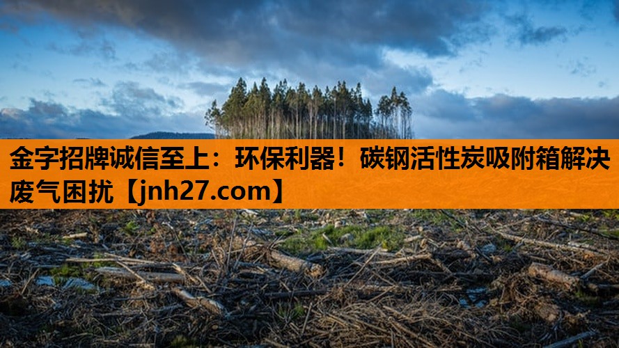 环保利器！碳钢活性炭吸附箱解决废气困扰