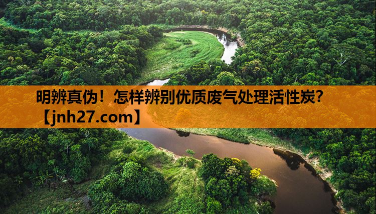 明辨真伪！怎样辨别优质废气处理活性炭？