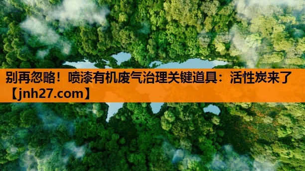 别再忽略！喷漆有机废气治理关键道具：活性炭来了