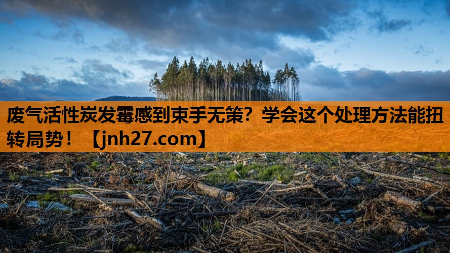 废气活性炭发霉感到束手无策？学会这个处理方法能扭转局势！