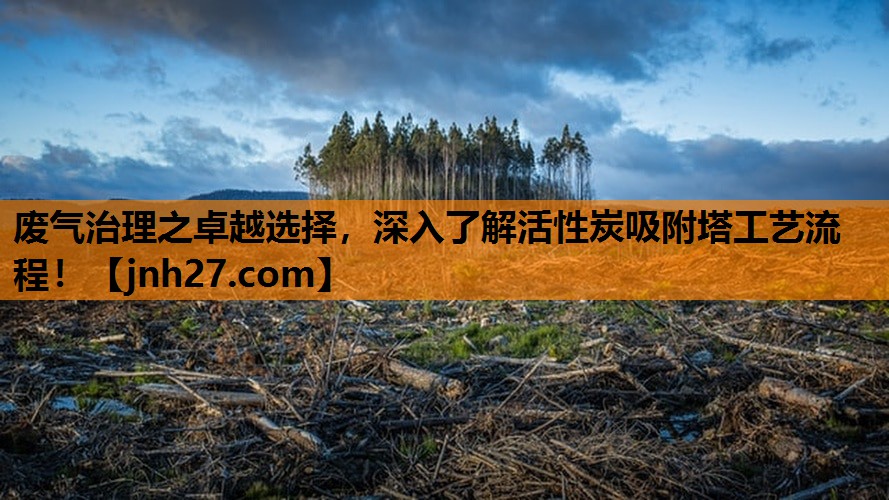 废气治理之卓越选择，深入了解活性炭吸附塔工艺流程！